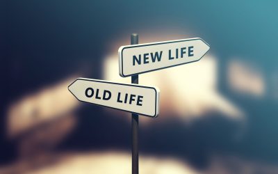 Building a new life…